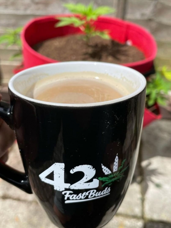 Instagram 420 Mug