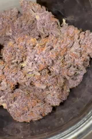 Purple Haze Auto - Purple Dried Buds Close Up