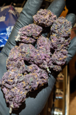 Instagram Blackberry Auto