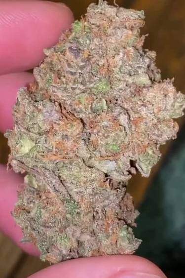 Smoothie Auto - Dried Bud in Hand: Pistils and Frosts