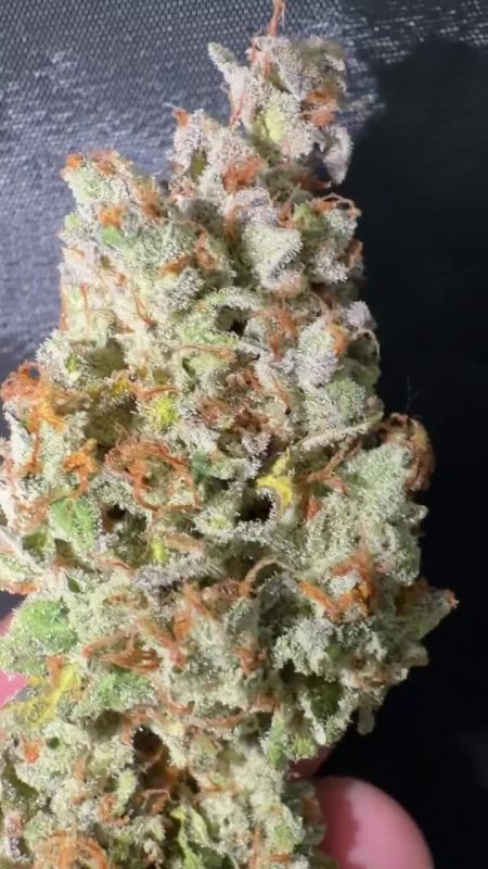 Lemon Cherry Sundae Auto - Frosty Cola Close-Up by @bernie