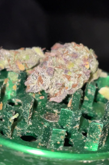 Guava Auto - Colorful Returned Buds with Heavy Ok
