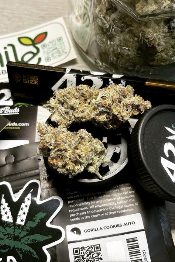 Instagram Hemp grinder