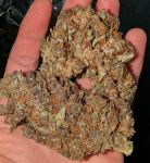 Instagram Mango Cherry Runtz Auto™