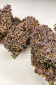 Instagram LSD-25 Auto