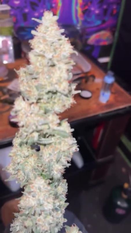 Strawberry Gorilla Auto - Long Frosty Returned Cola by @titan_flavors1