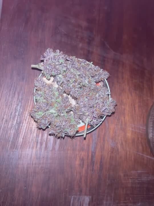 Lemon Cherry Cookies Auto - Purple Dried Nug on Wood by JoExotic