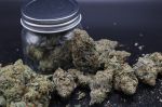 Instagram Mendo Guava Auto™