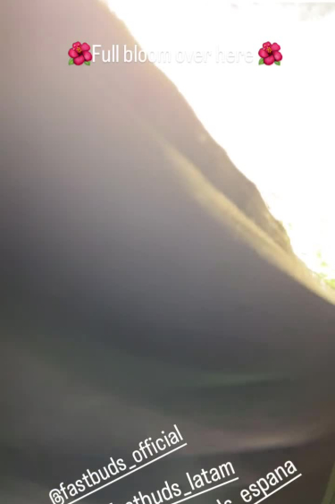 Mix Pack - Outdoor Grow in a Mountain Environment