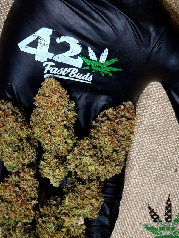 Instagram 420 Gloves Pack 3 pairs