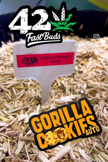 Gorilla Cookies Auto - Return Display with Seed Label