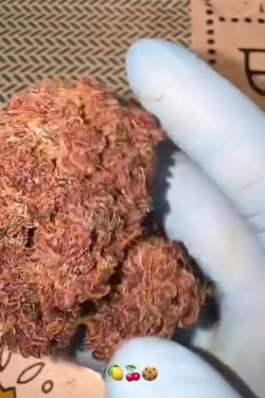 Lemon Cherry Cookies Auto - Freshly Trimmed Colorful Bud After Return