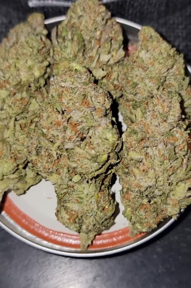 Papaya Cookies Auto - Large Dried Buds in Container