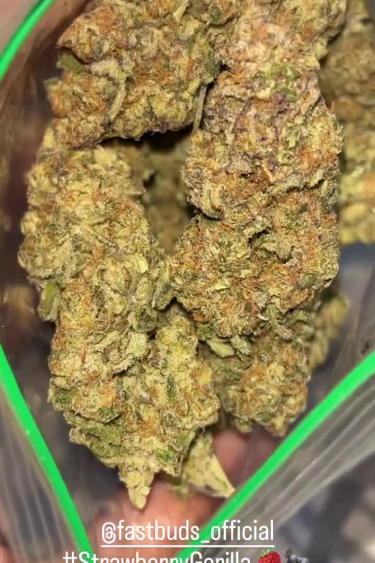 Strawberry Gorilla Auto - Dense Returned Buds in Bag