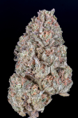 Instagram Orange Sherbet FF