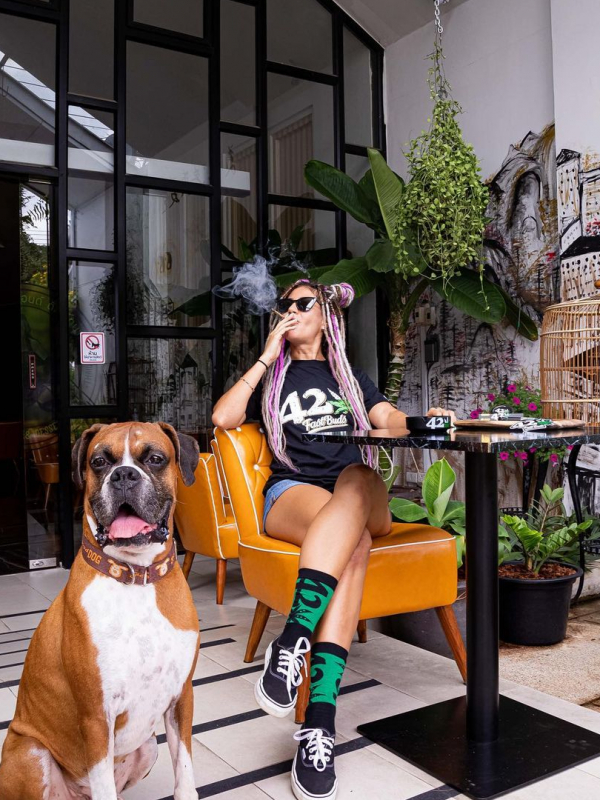 Instagram 420 Socks