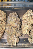 Instagram Pound Cake Auto™