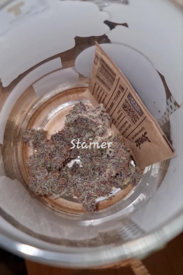 Banana Purple Punch Auto - Dried Bud After Return and Cure
