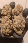 Instagram Papaya Sherbet™