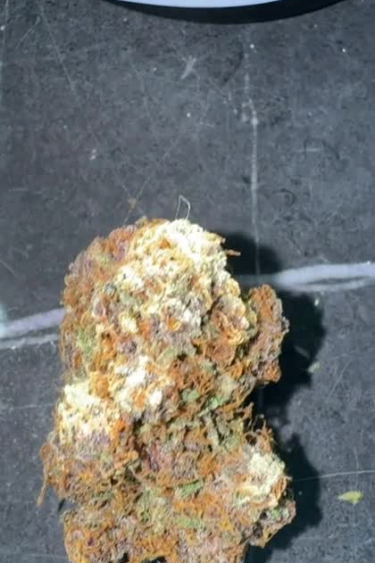 Cherry Cola Auto - Frosty Dried Bud Close Up