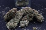 Instagram Mendo Frost Auto™