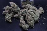 Instagram Pineapple OG Auto™