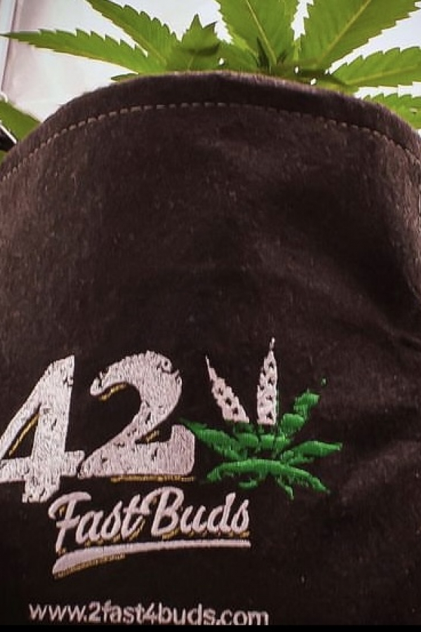 Instagram 420 Geotextile Auto Pot