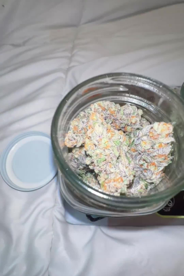 GG4 Sherbet FF - Frosty Dried Bud in Glass Jar