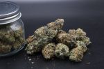 Instagram Guava Runtz Auto™