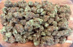 Instagram Lemon Cherry Sundae Auto™