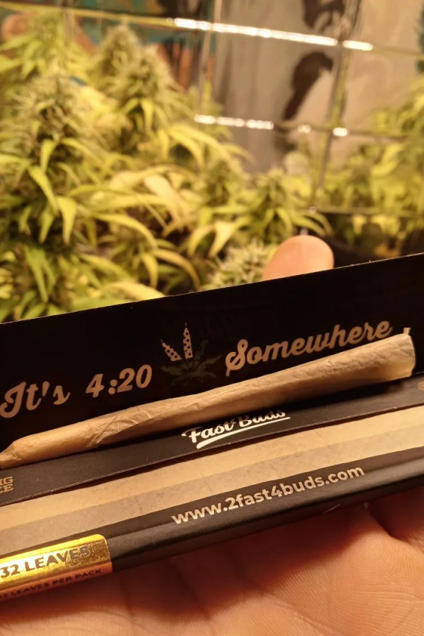 Instagram Premium Unrefined Rolling Papers
