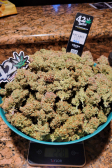 Instagram Pound Cake Auto™