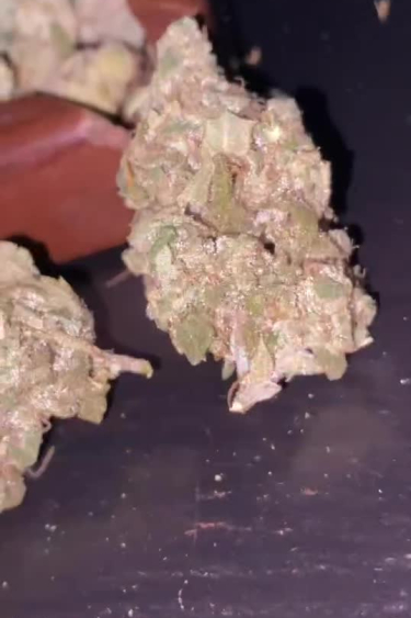 GG4 Sherbet FF - Breaking Open a Dense Dried Bud by Hand