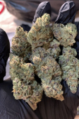 Instagram Cherry Cola Auto