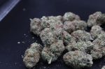 Instagram Sundae Frost Auto™