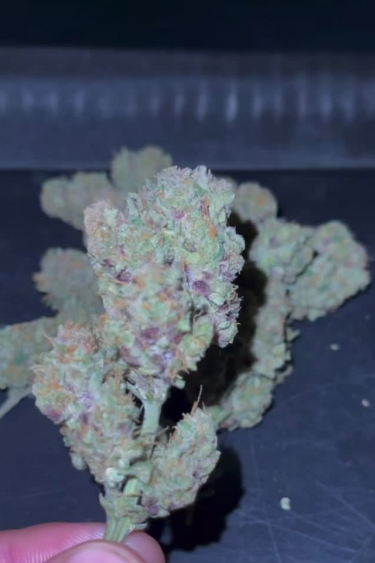 Strawberry Banana Auto - Close-Up of a Frosty Bud with Purple Tints