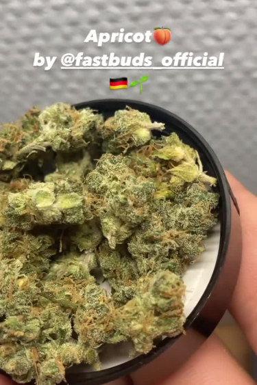 Apricot Auto - Dried Flower Return Ready for Curing