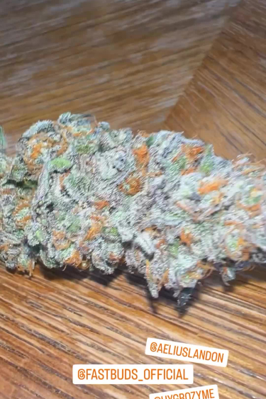 GG4 Sherbet FF - Frosty Bud on Wooden Surface