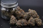 Instagram Mango Cherry Runtz Auto™