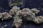 Instagram Mendo Frost Auto™