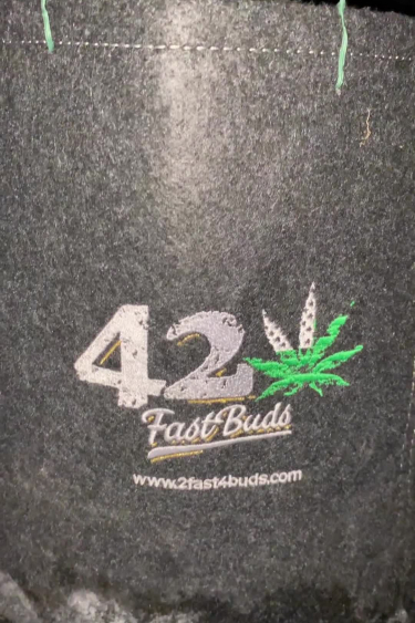 Strawberry Gorilla Auto - Fast Buds 42 Grow Bag Detail