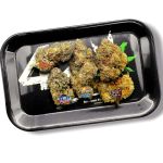 Instagram Mendo Guava Auto™