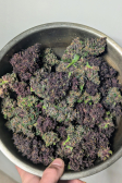 Instagram Blackberry Auto