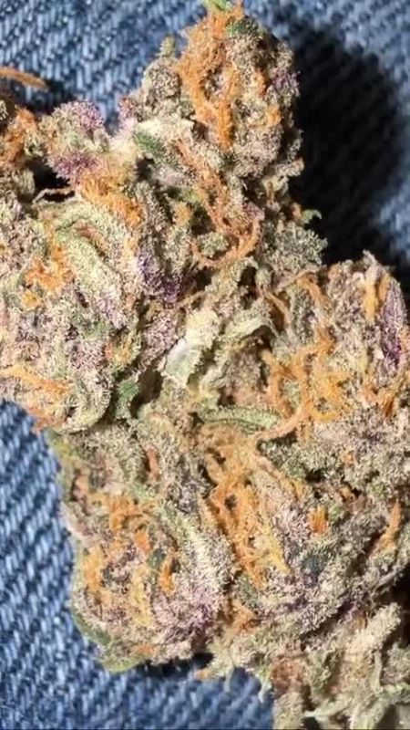 Banana Purple Punch RF3 Auto @chrisnbrandi DIS 