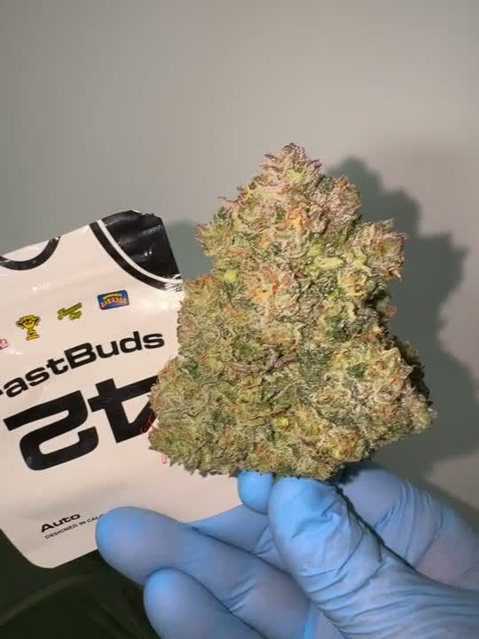 Cherry Cola Auto RF3 - Cured Bud Beside the Fast Buds Pack valiotoro