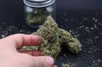 Instagram Mendo Frost Auto™