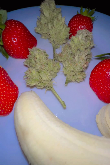 Strawberry Banana Auto - Dried and Cured Buds: Density, Color
