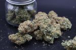 Instagram Guava Sundae Auto™