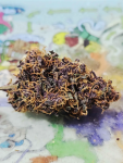 Instagram Purple Lemonade Auto
