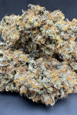 Instagram Orange Sherbet FF